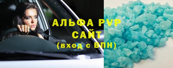 ECSTASY Горняк