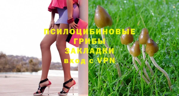 ECSTASY Горняк
