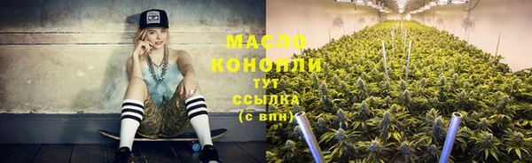 ECSTASY Горняк