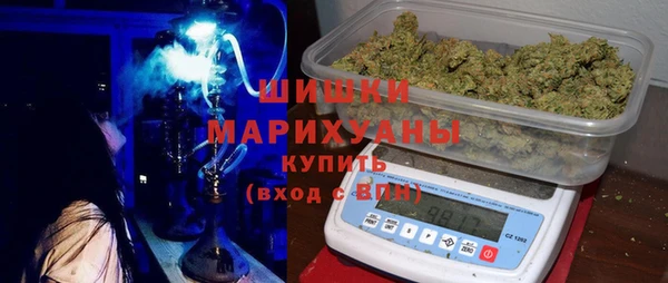 ECSTASY Горняк