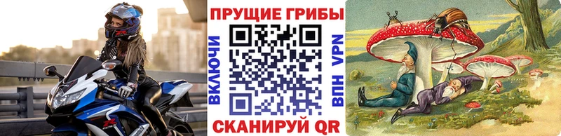 где купить наркоту  Альметьевск  Псилоцибиновые грибы мухоморы 